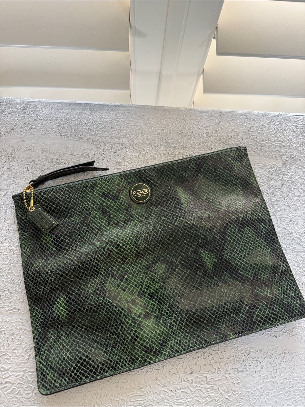 Coach Dark Green Python Snakeskin Print Leather Tech Bag Clutch